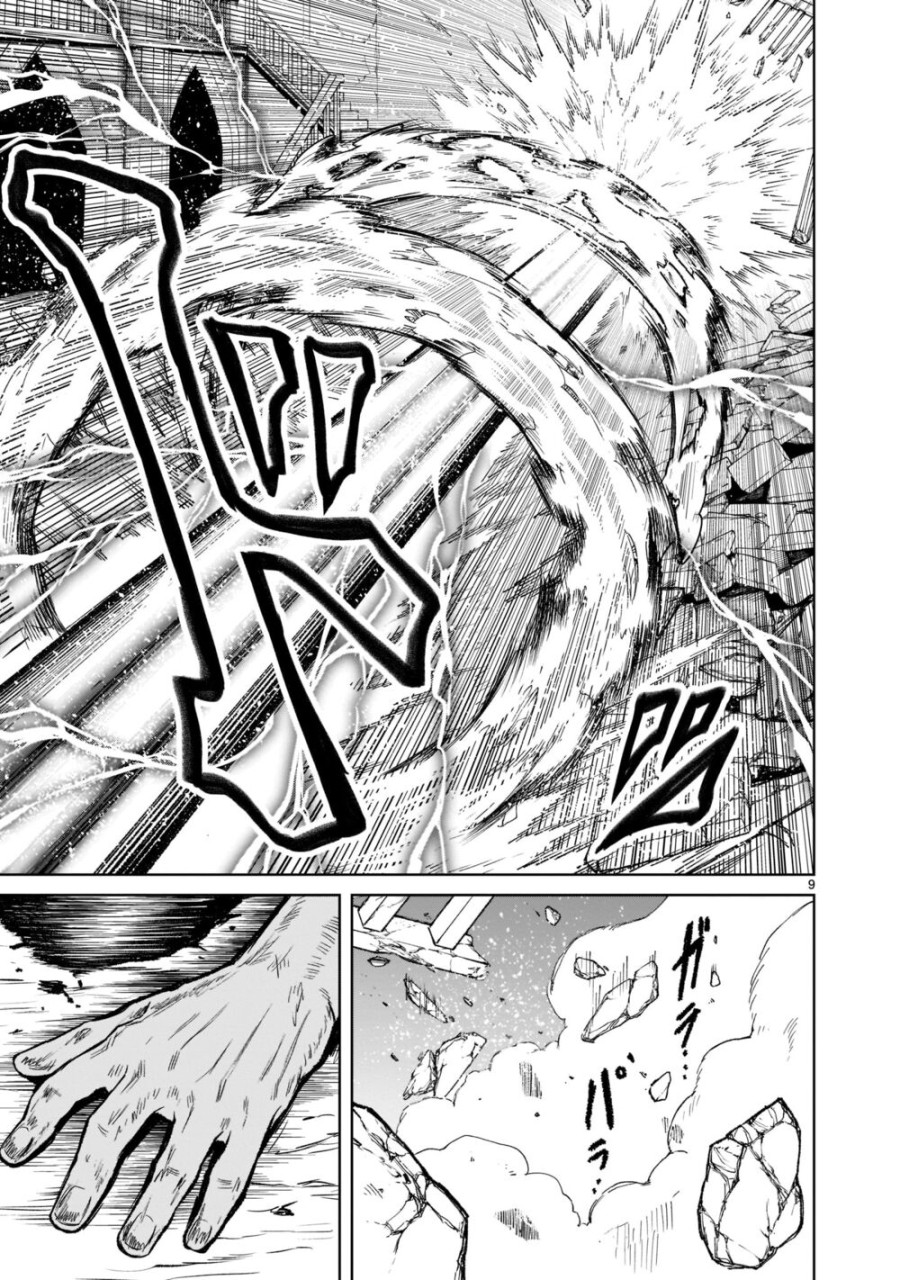 Vườn hoa hồng Saga 