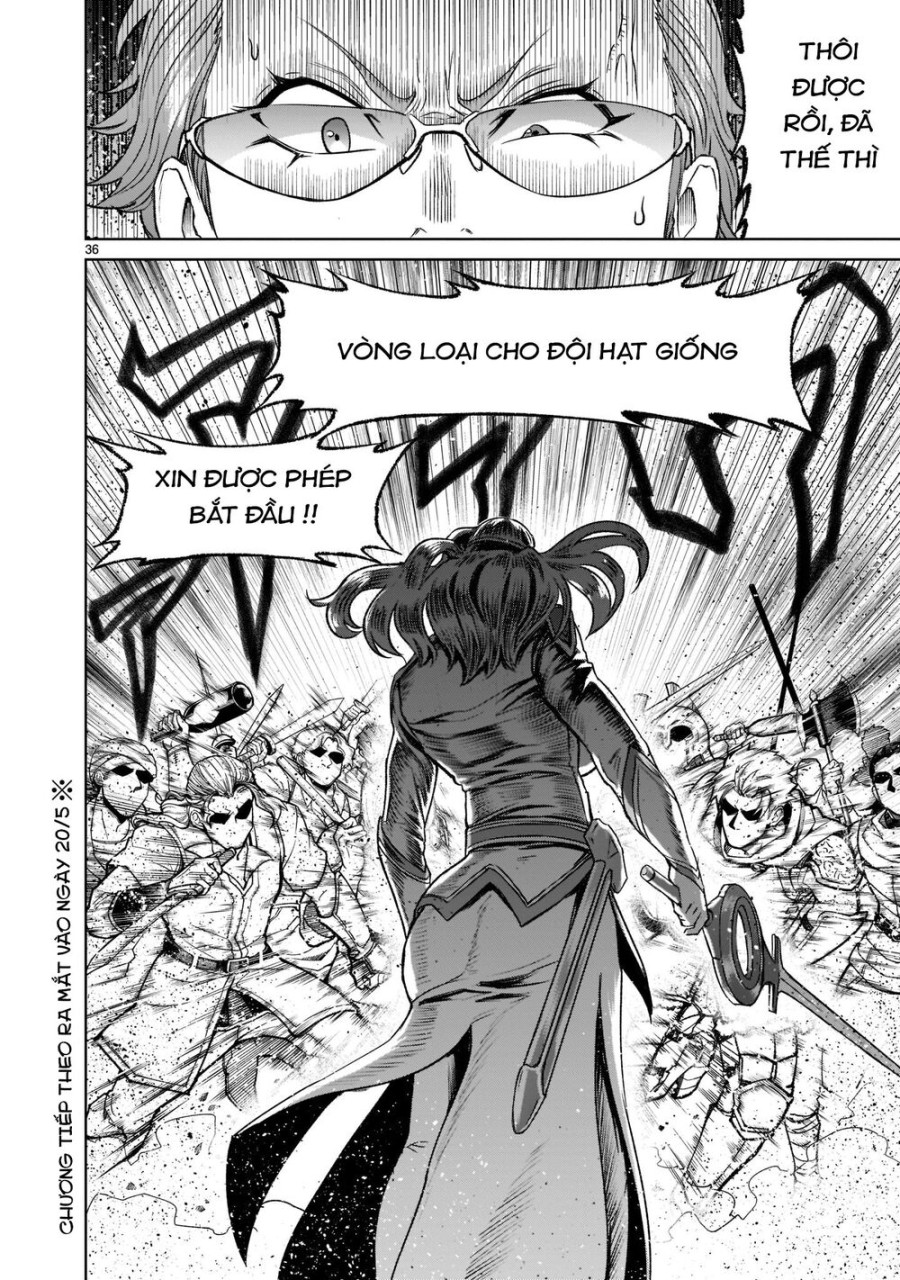 Vườn hoa hồng Saga 