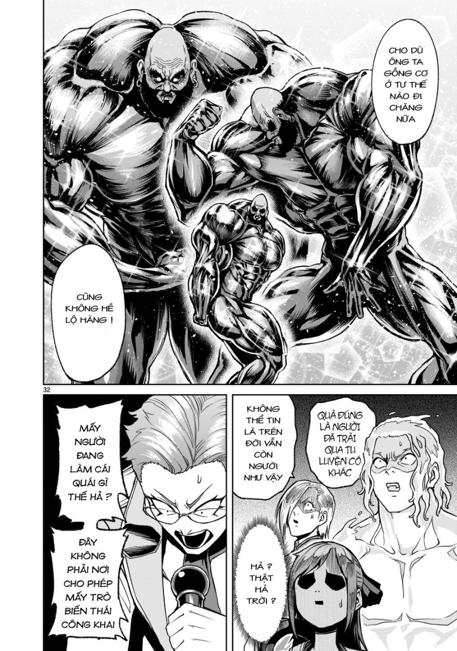 Vườn hoa hồng Saga 