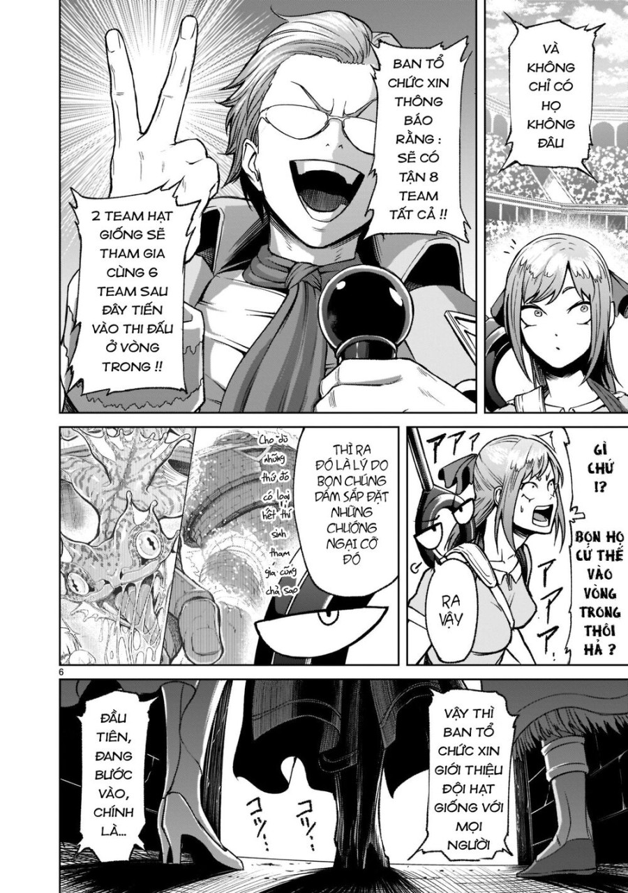 Vườn hoa hồng Saga 