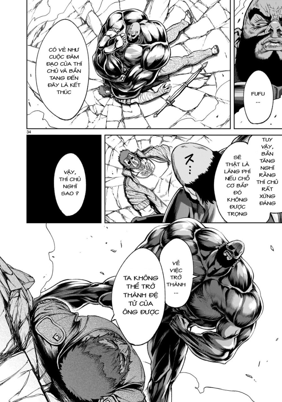 Vườn hoa hồng Saga 