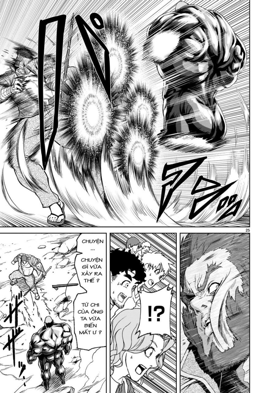 Vườn hoa hồng Saga 