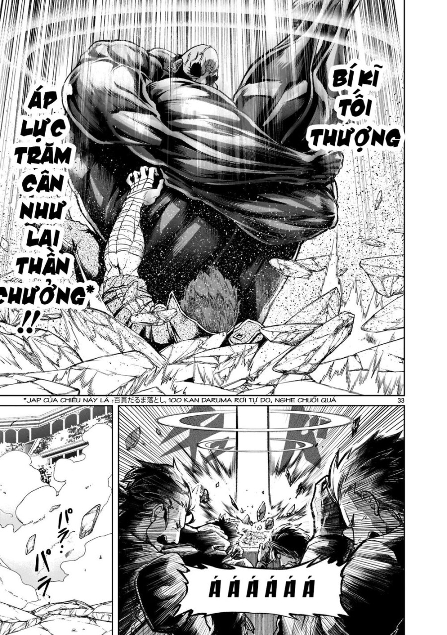 Vườn hoa hồng Saga 