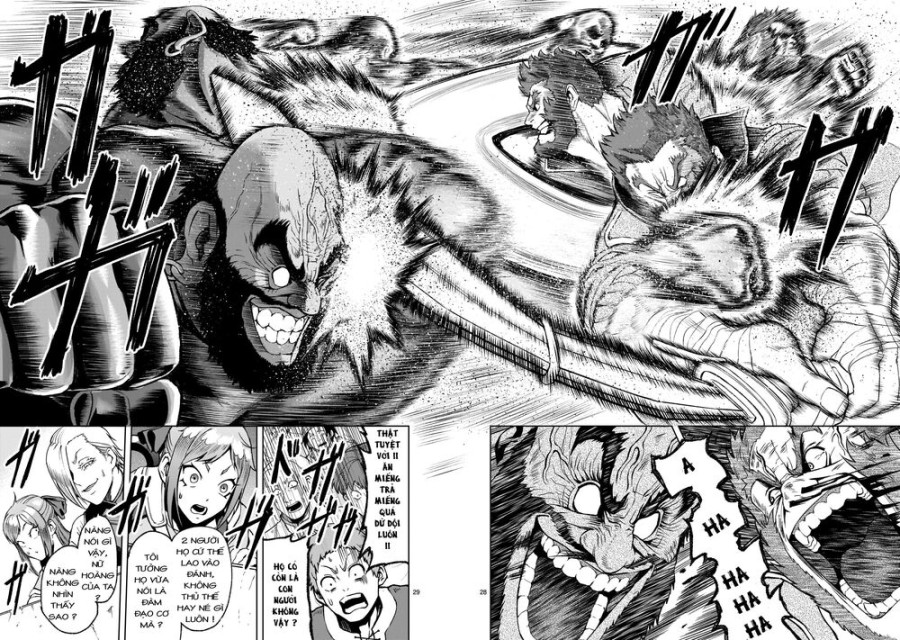 Vườn hoa hồng Saga 