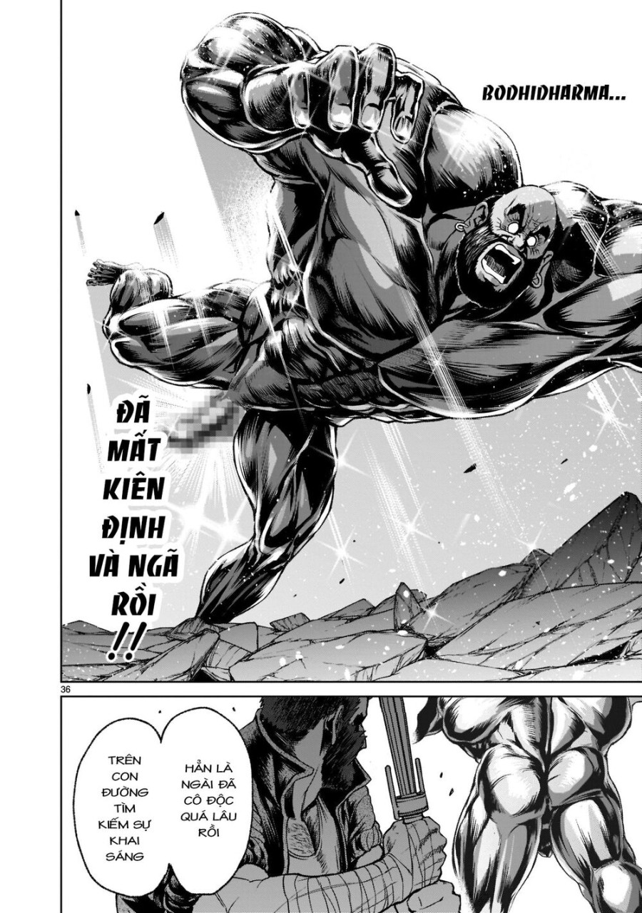 Vườn hoa hồng Saga 