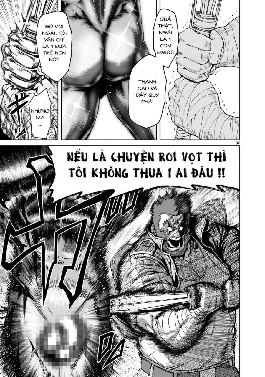 Vườn hoa hồng Saga 