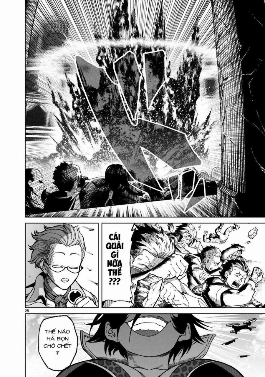 Vườn hoa hồng Saga 