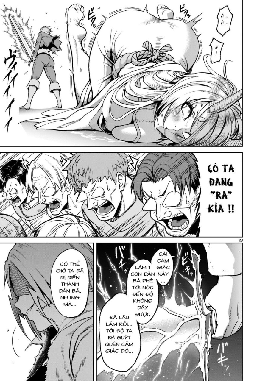 Vườn hoa hồng Saga 