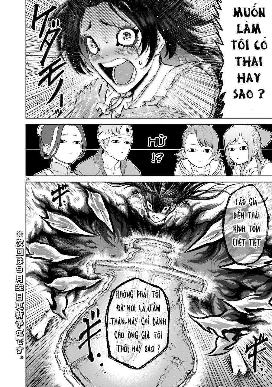 Vườn hoa hồng Saga 