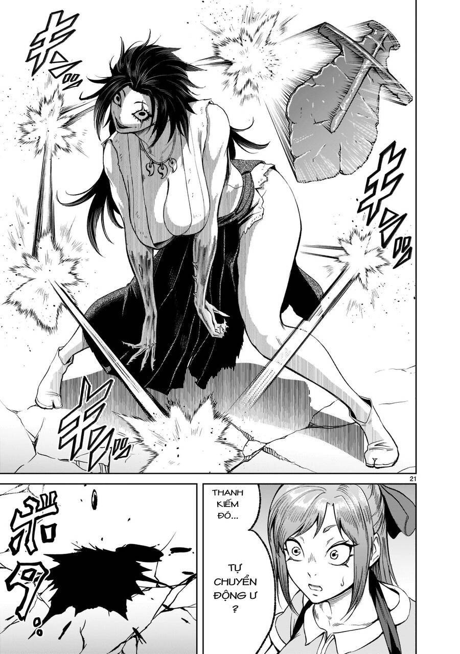Vườn hoa hồng Saga 