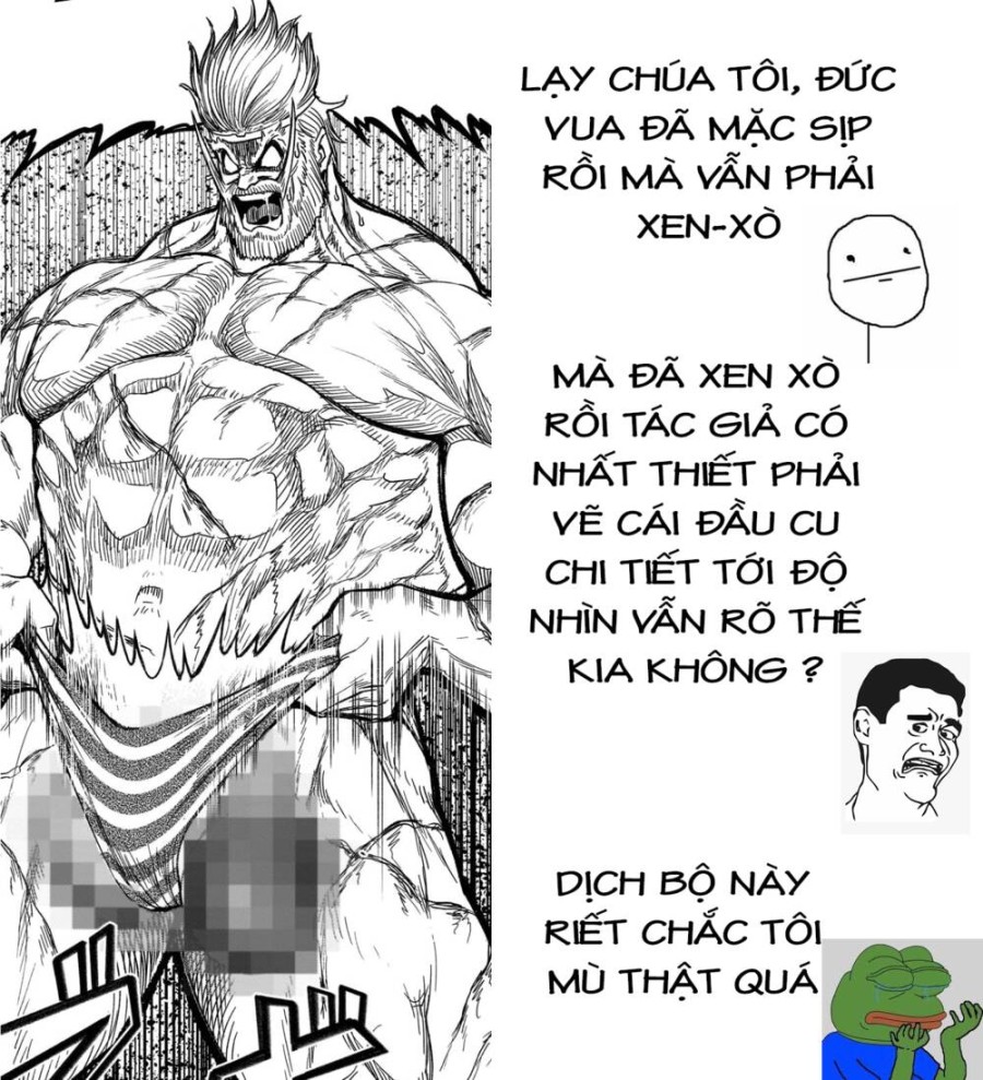 Vườn hoa hồng Saga 
