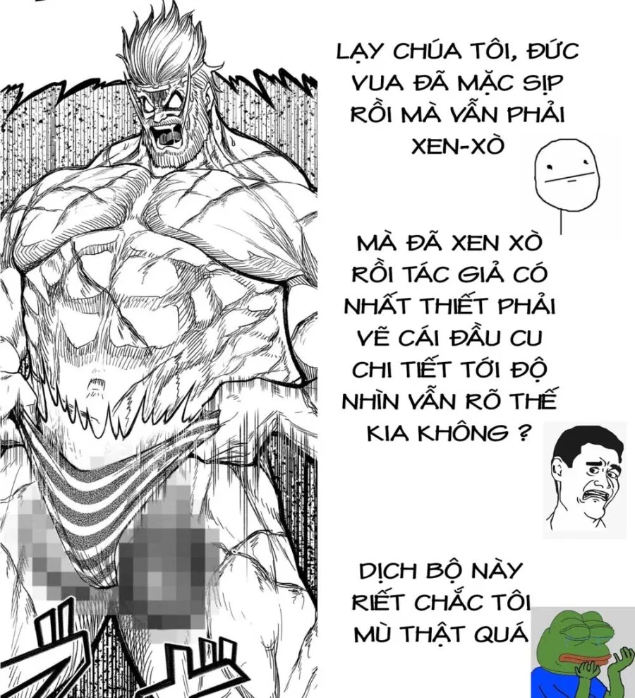 Vườn hoa hồng Saga 