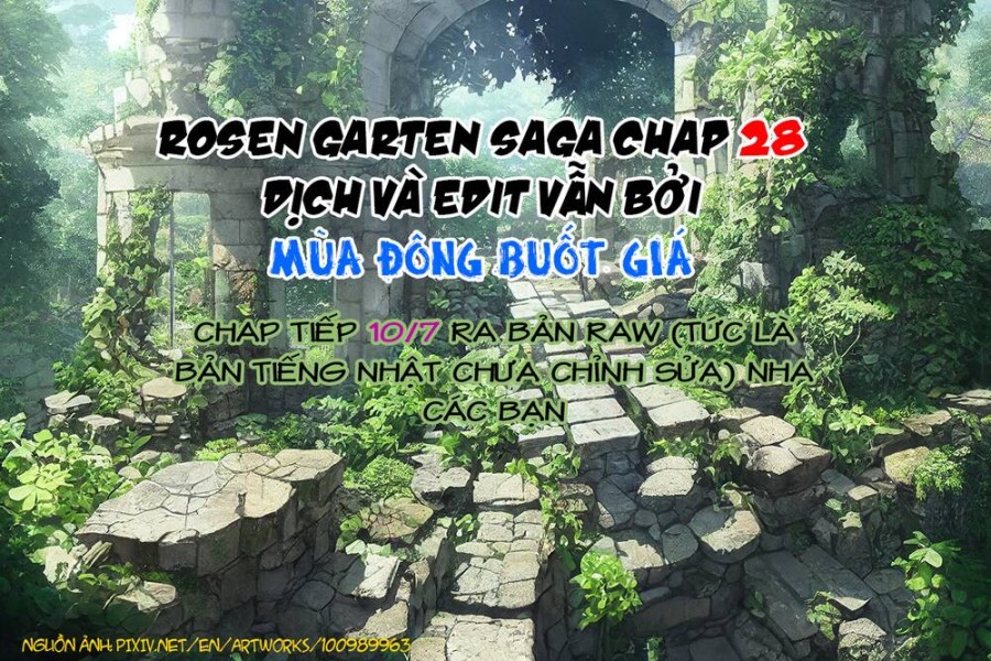Vườn hoa hồng Saga 