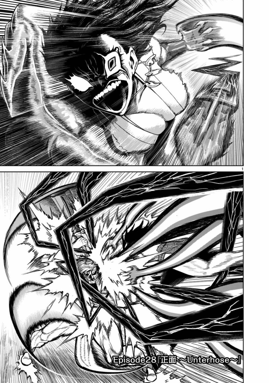 Vườn hoa hồng Saga 