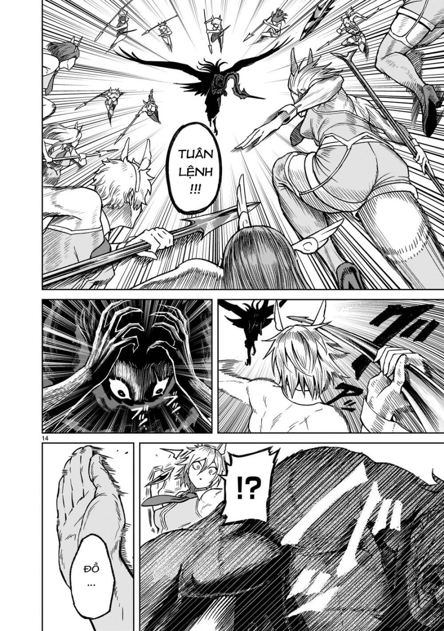 Vườn hoa hồng Saga 