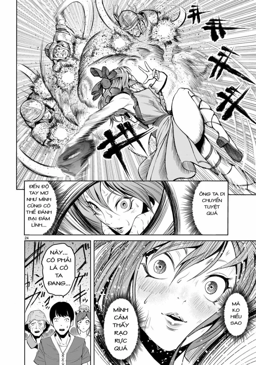 Vườn hoa hồng Saga 