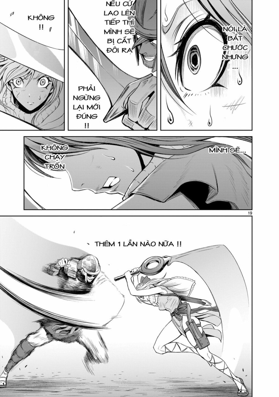 Vườn hoa hồng Saga 