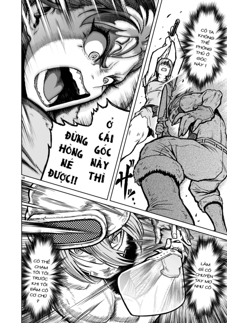 Vườn hoa hồng Saga 