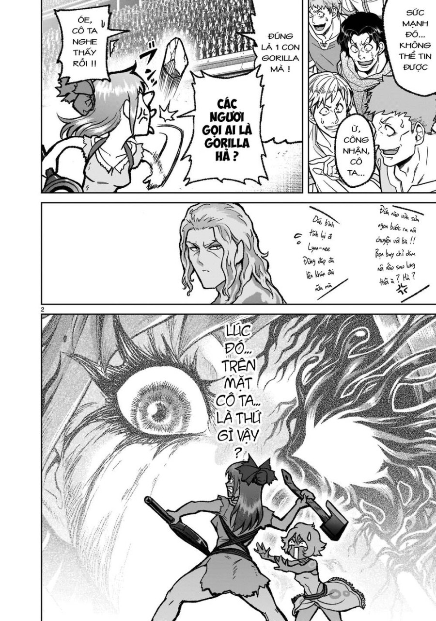 Vườn hoa hồng Saga 