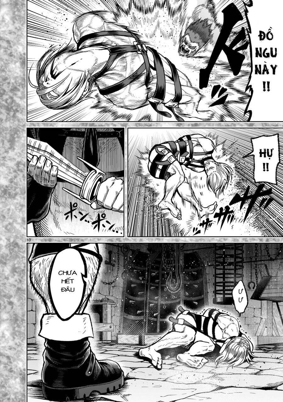 Vườn hoa hồng Saga 
