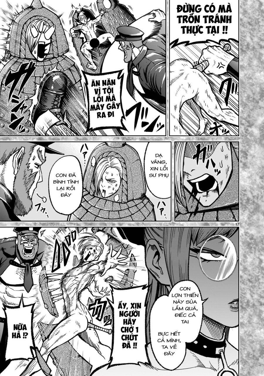 Vườn hoa hồng Saga 