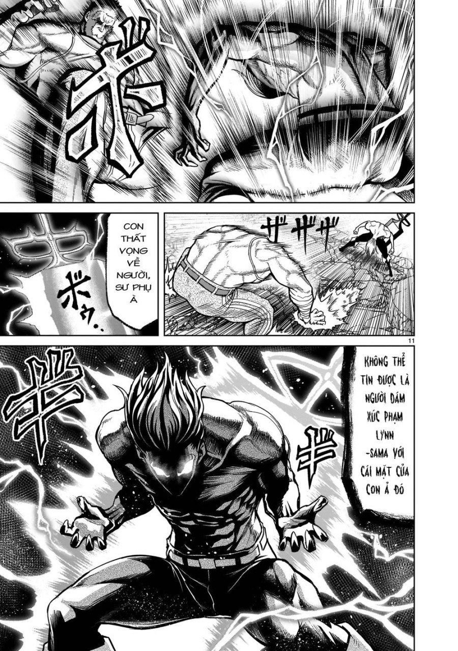 Vườn hoa hồng Saga 