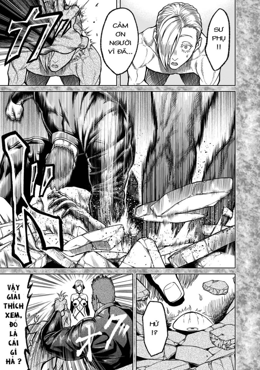 Vườn hoa hồng Saga 