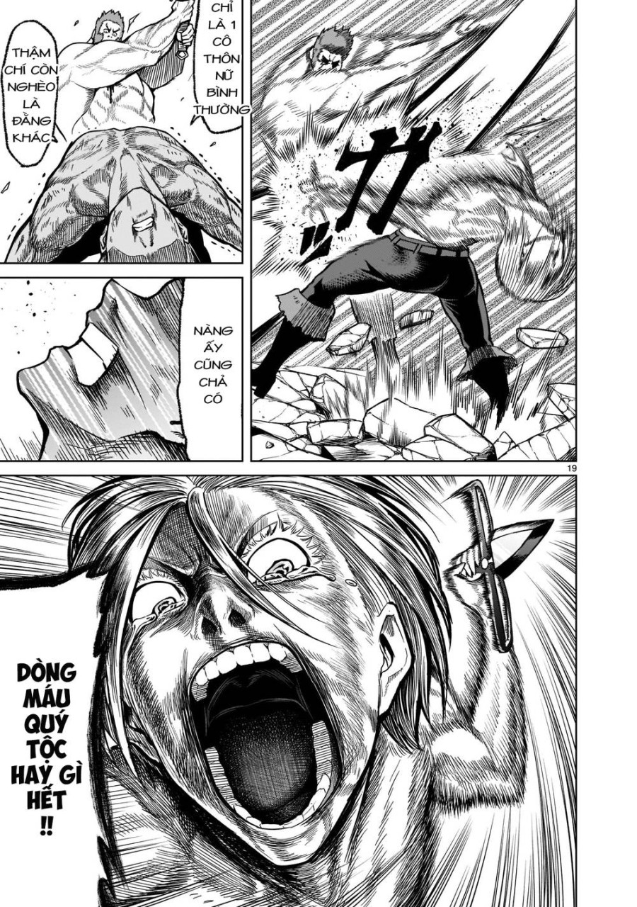 Vườn hoa hồng Saga 