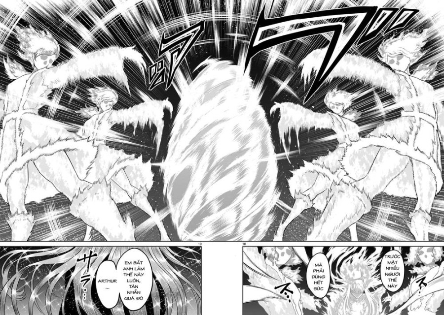 Vườn hoa hồng Saga 
