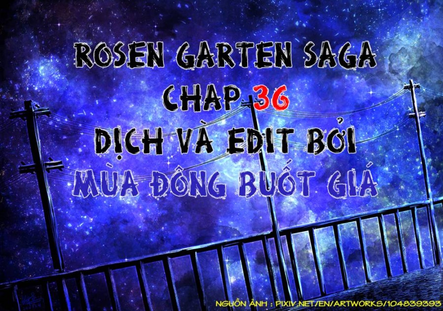 Vườn hoa hồng Saga 