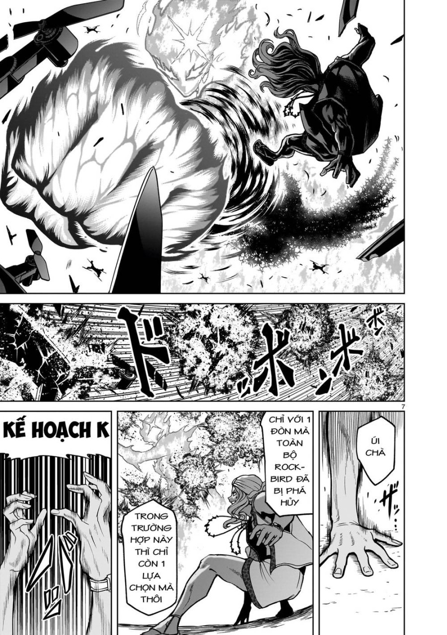 Vườn hoa hồng Saga 