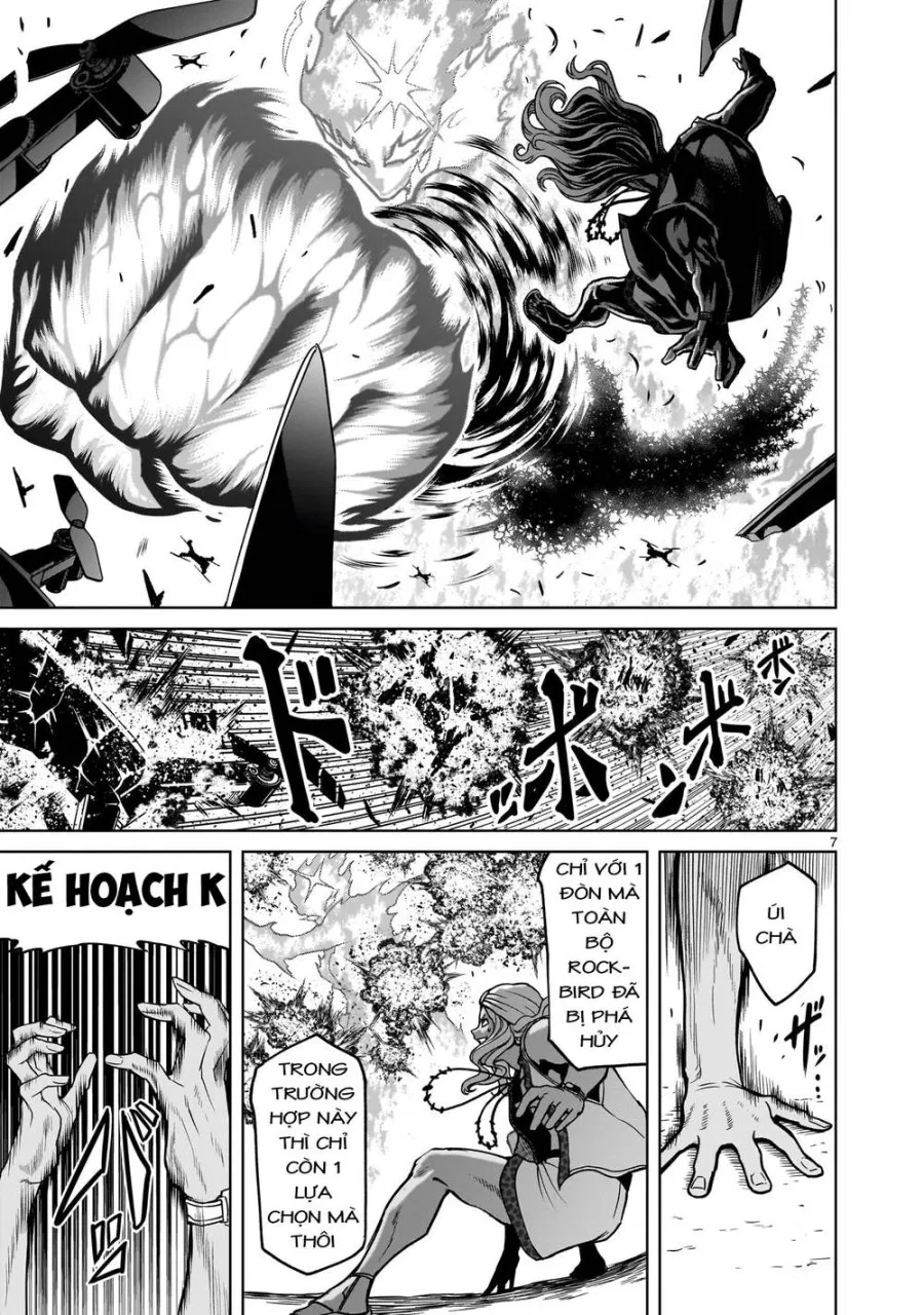 Vườn hoa hồng Saga 