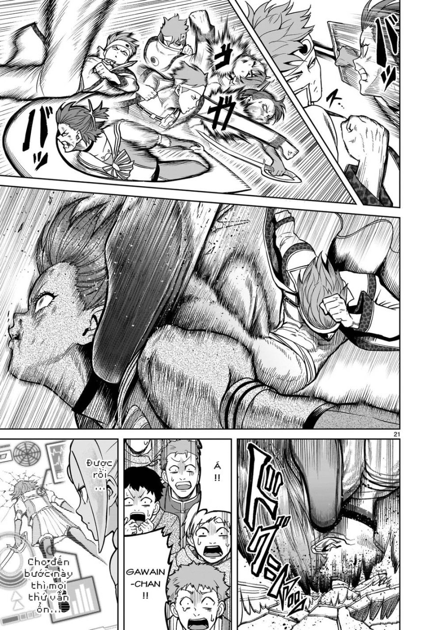 Vườn hoa hồng Saga 