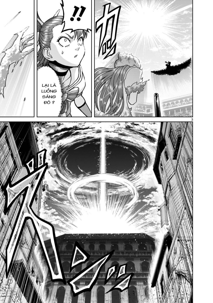 Vườn hoa hồng Saga 