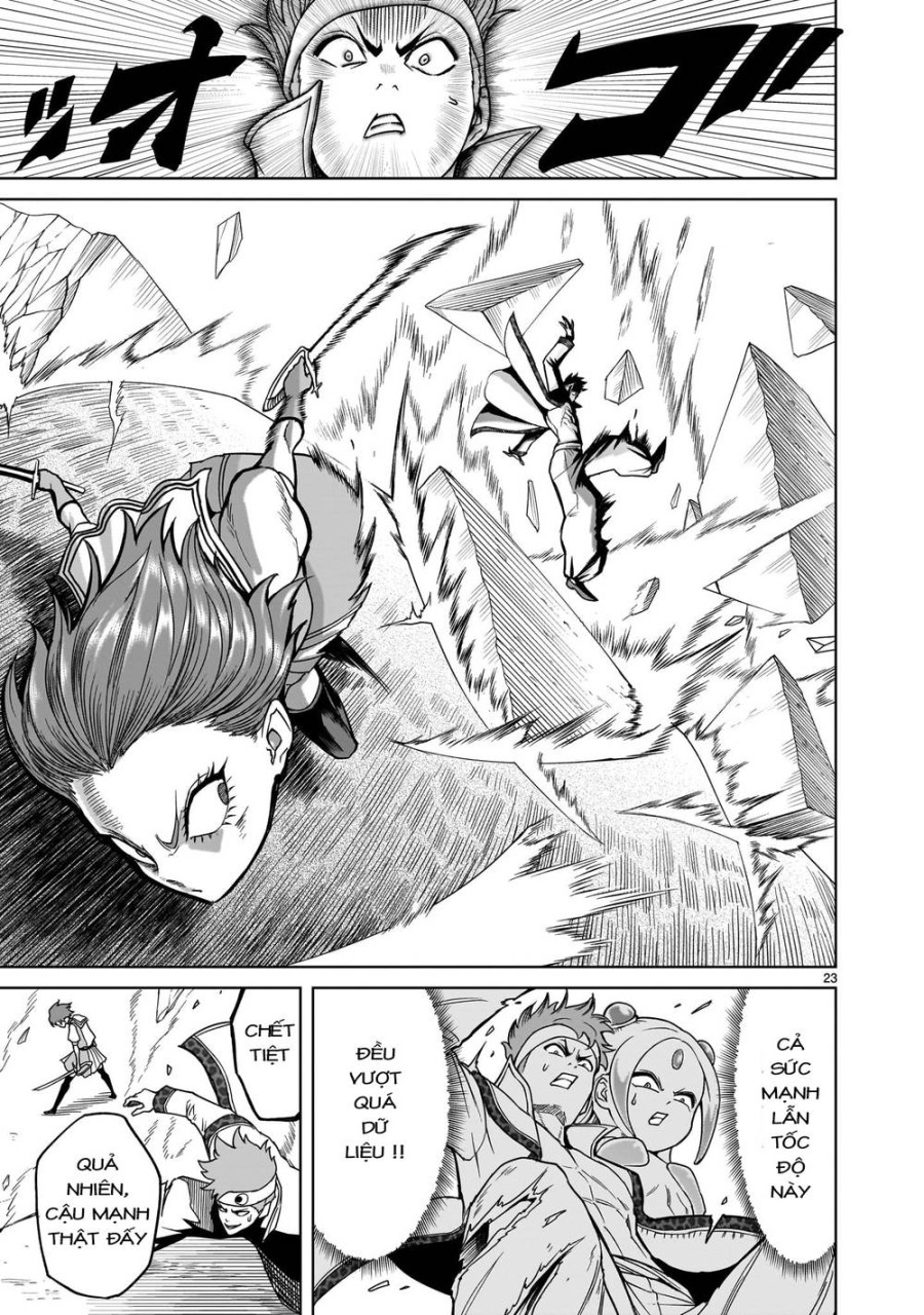 Vườn hoa hồng Saga 