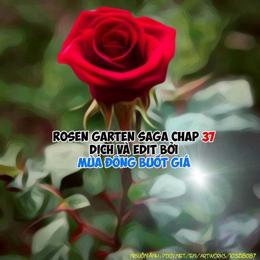 Vườn hoa hồng Saga 