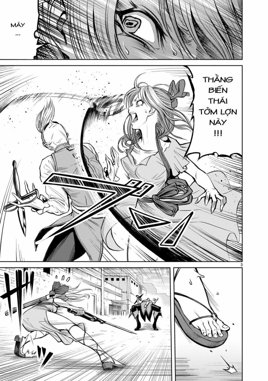 Vườn hoa hồng Saga 