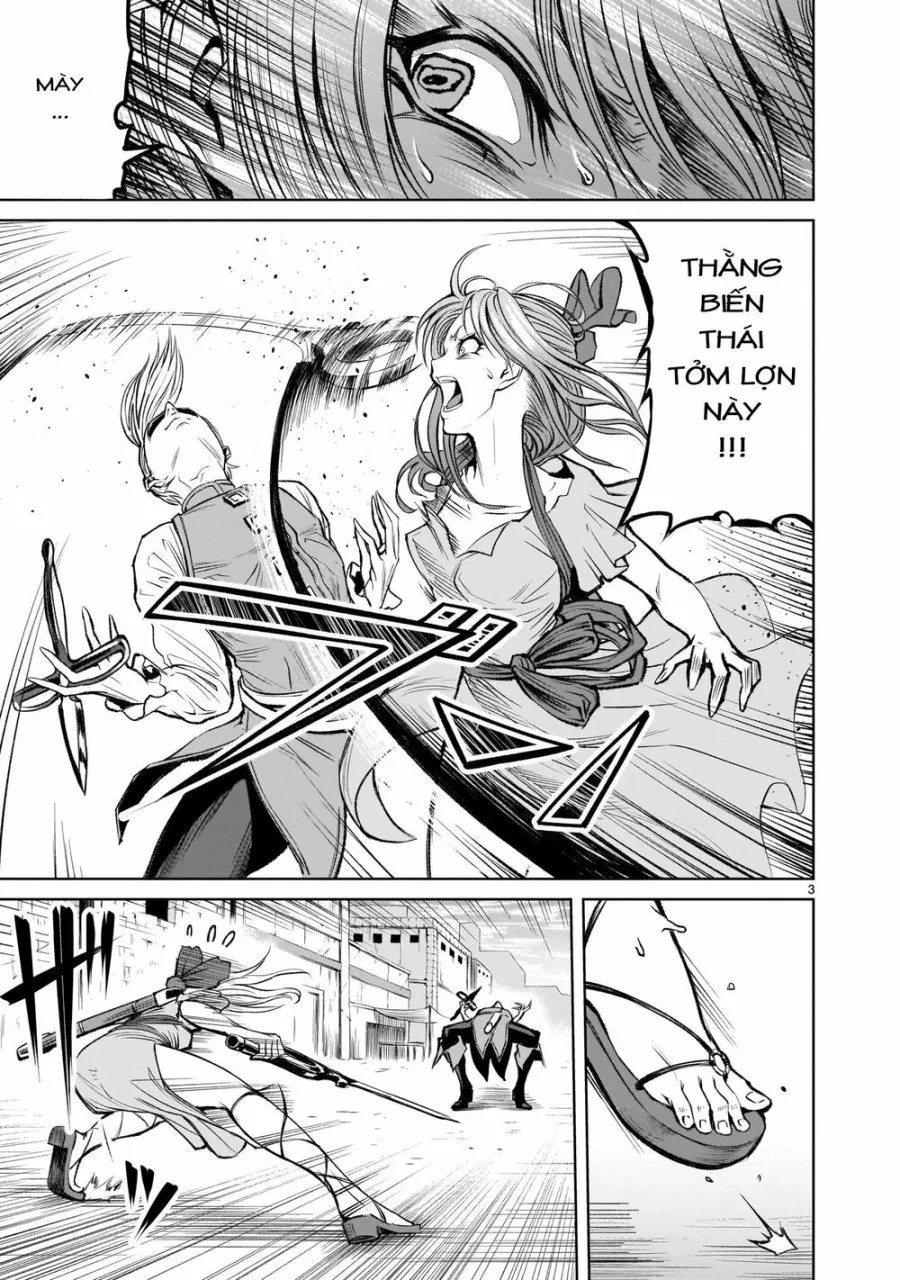 Vườn hoa hồng Saga 