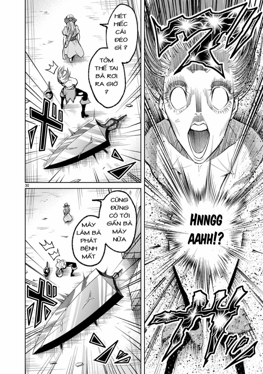 Vườn hoa hồng Saga 