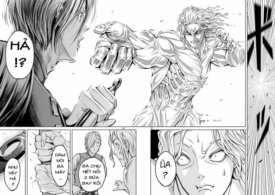 Vườn hoa hồng Saga 