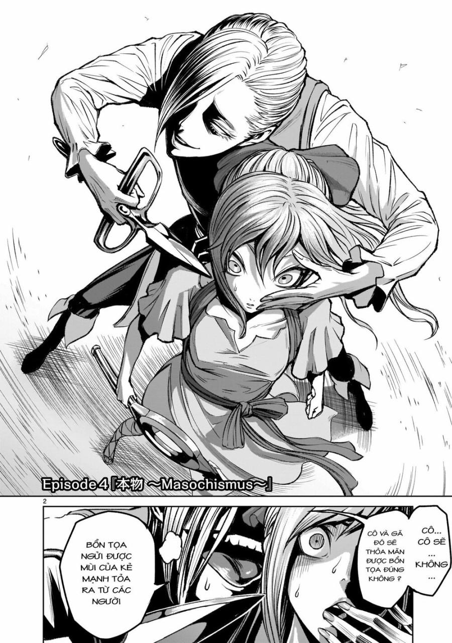 Vườn hoa hồng Saga 