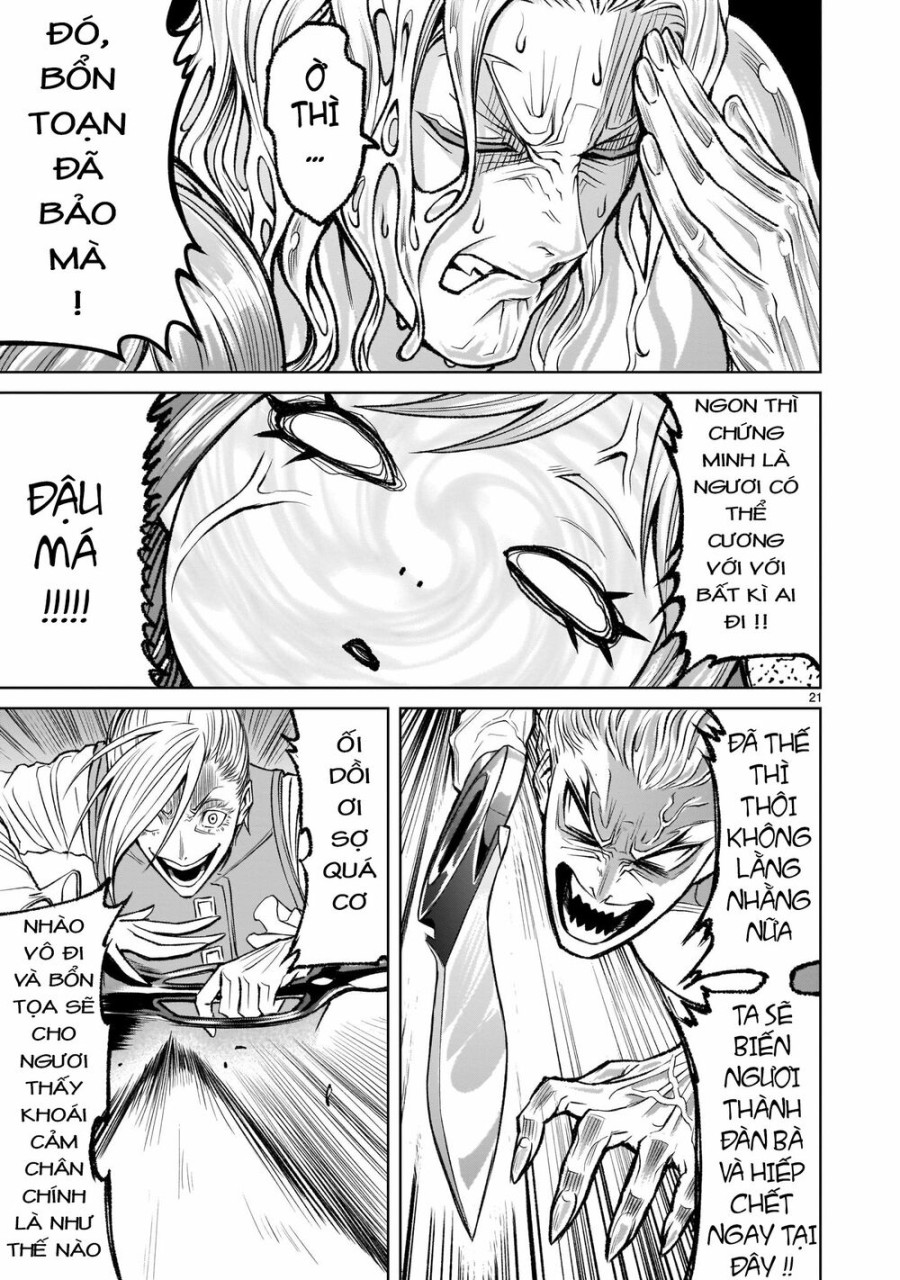 Vườn hoa hồng Saga 