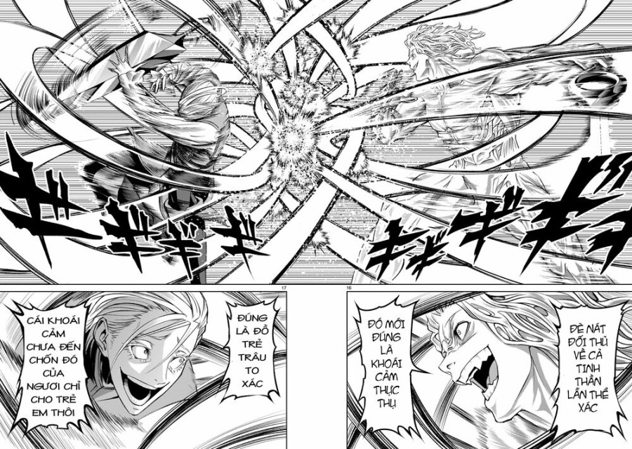 Vườn hoa hồng Saga 