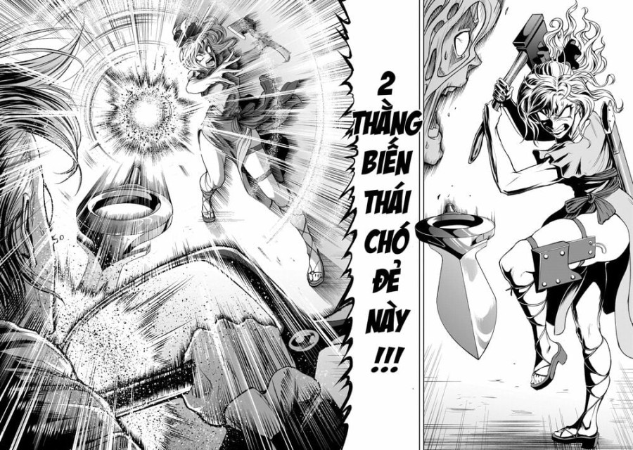 Vườn hoa hồng Saga 