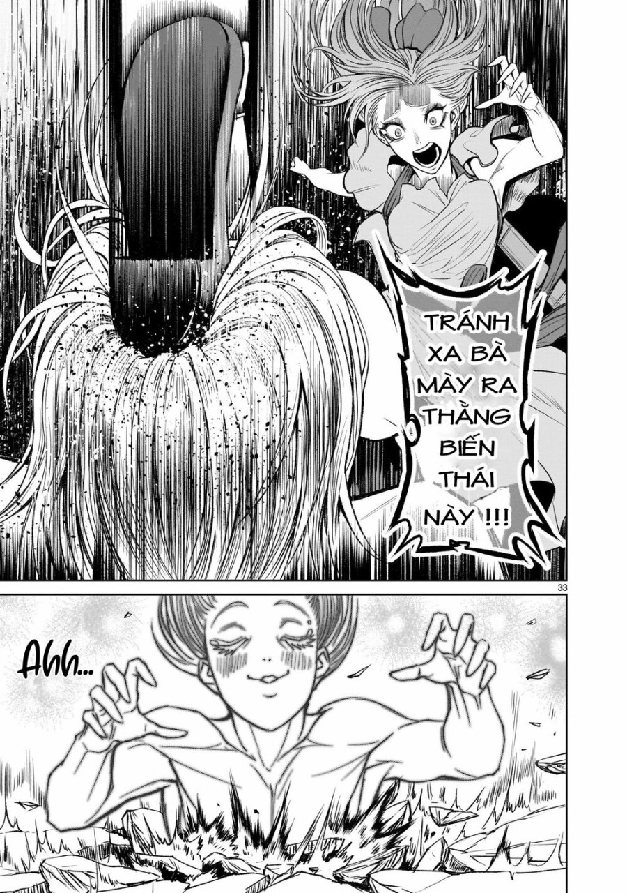 Vườn hoa hồng Saga 