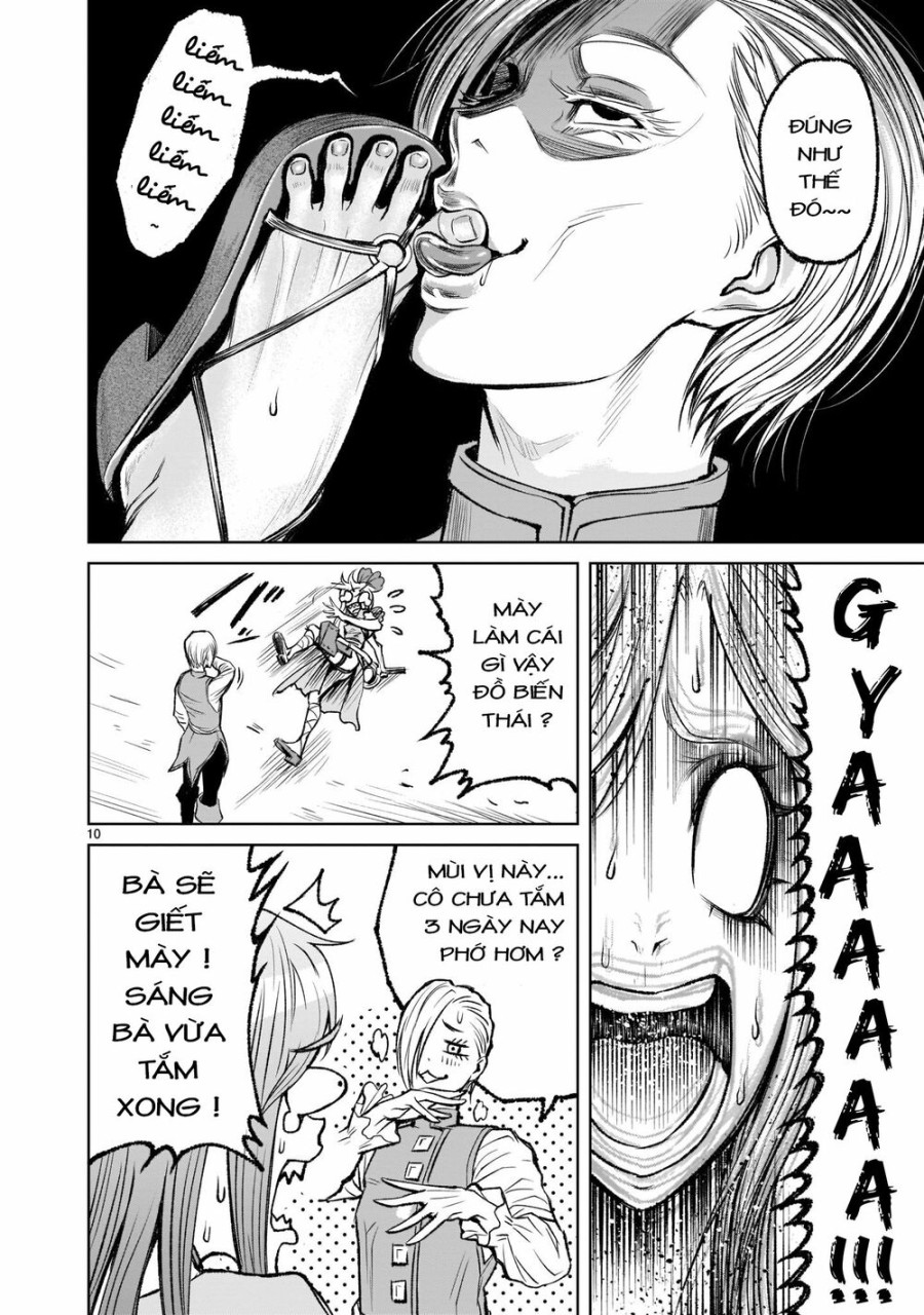 Vườn hoa hồng Saga 