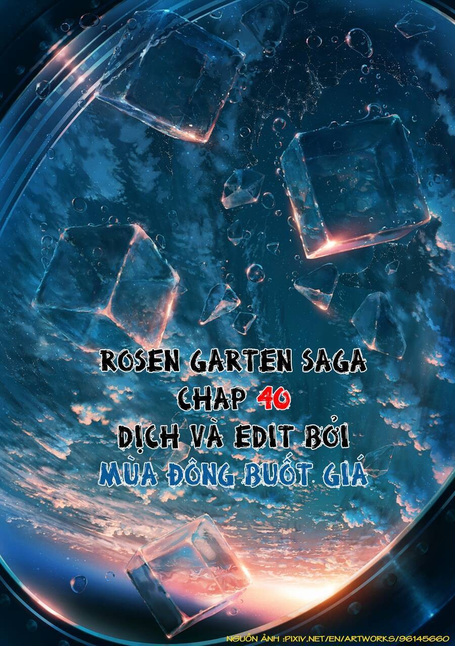 Vườn hoa hồng Saga 