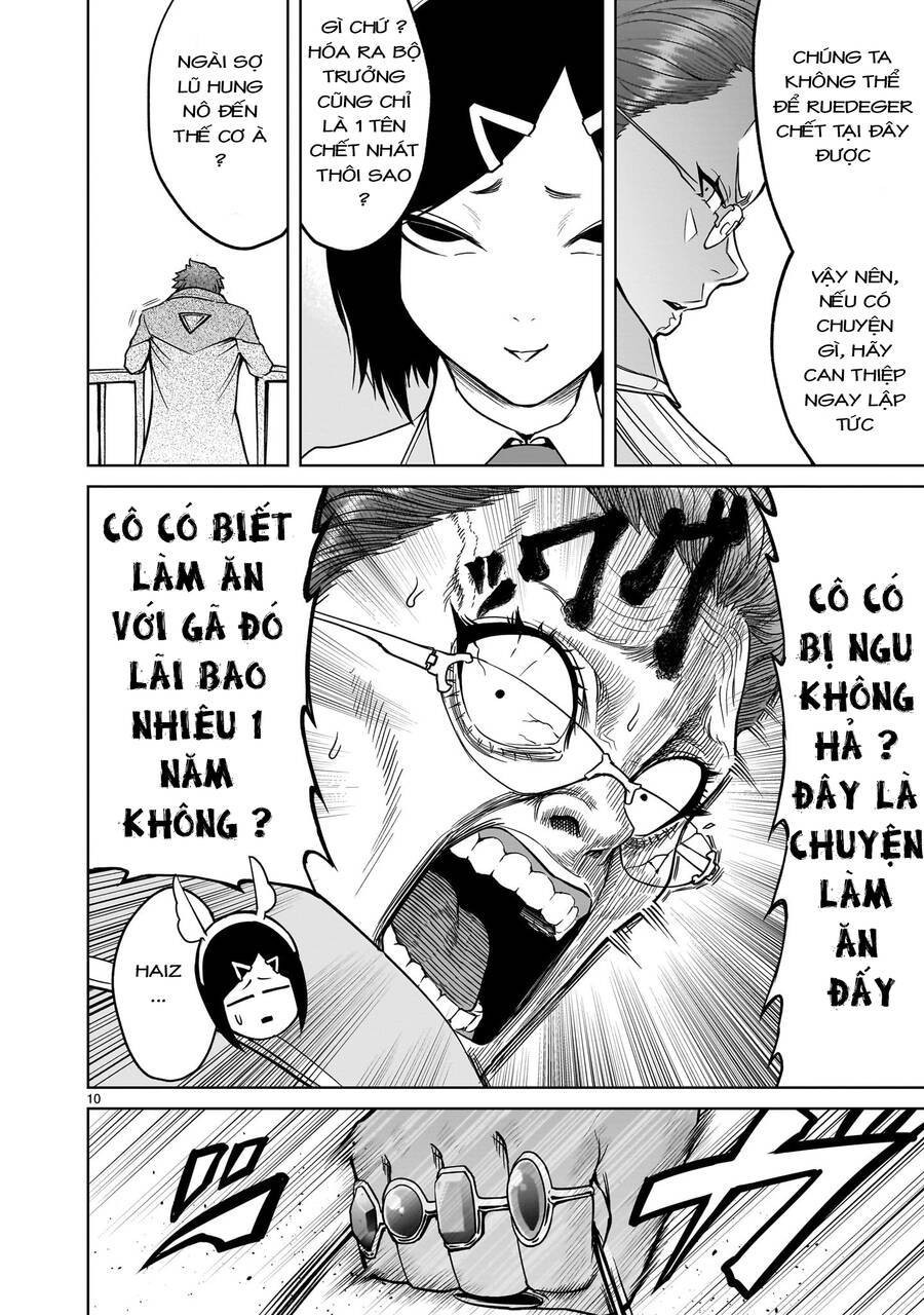 Vườn hoa hồng Saga 