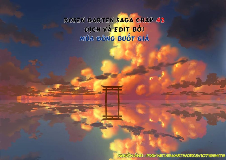 Vườn hoa hồng Saga 