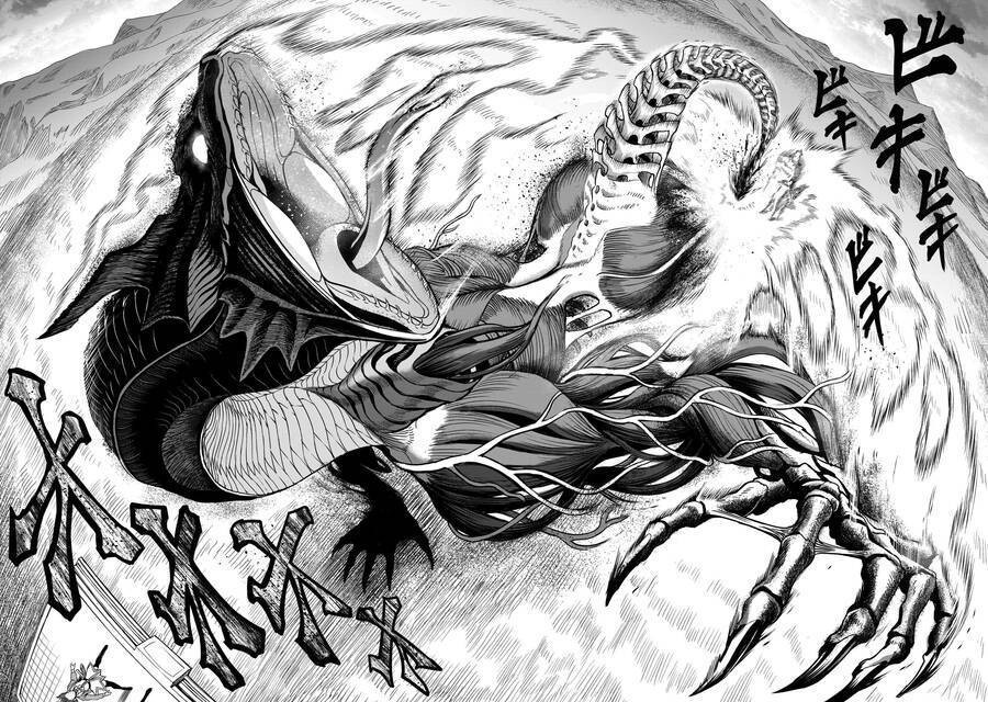 Vườn hoa hồng Saga 